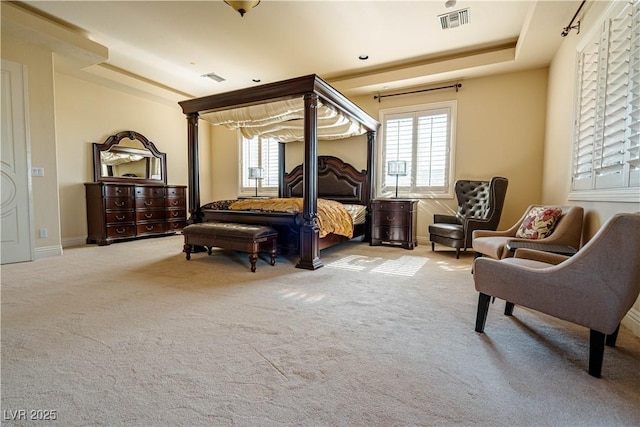 bedroom featuring multiple windows, light colored carpet, and a raised ceiling