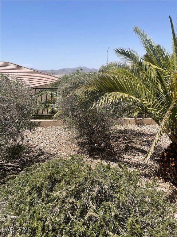 2341 Celestial Moon St, Henderson, NV 89044 - photo 45