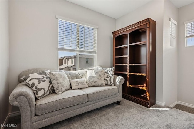 living area featuring carpet