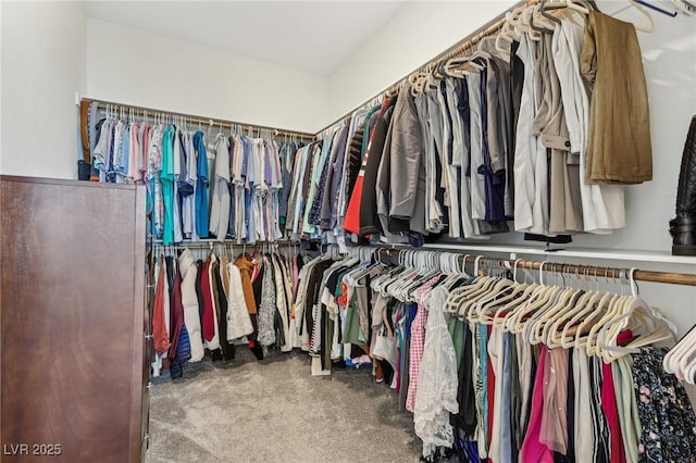 spacious closet featuring carpet flooring