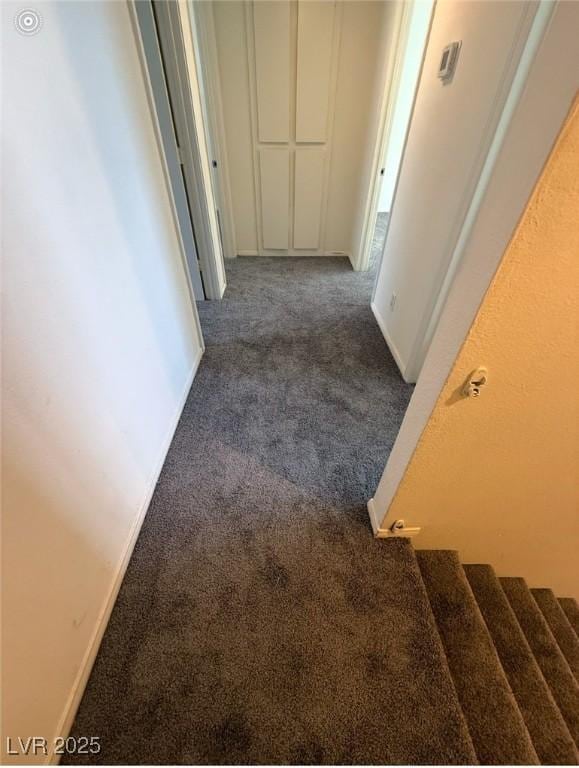 hall with dark colored carpet