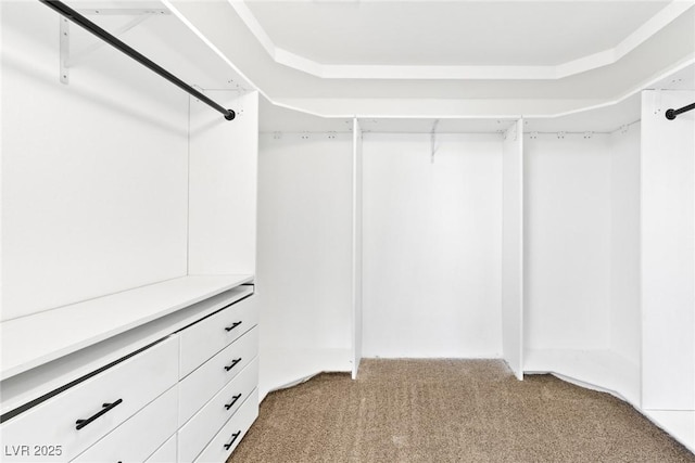 9527 Havasu Canyon Ave, Las Vegas, NV 89166 - walk in closet with light colored carpet