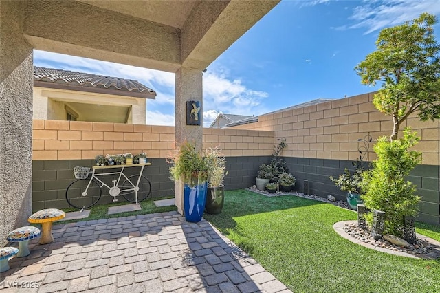 view of yard featuring a patio area