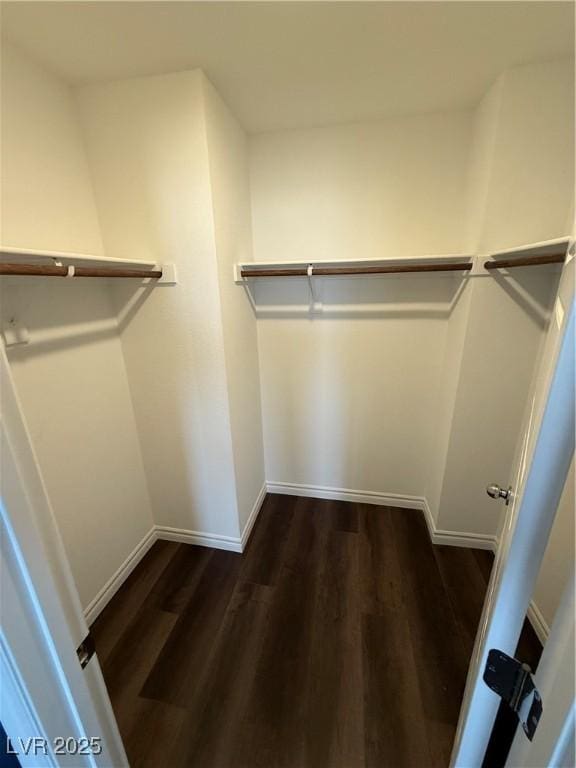 spacious closet with dark wood-type flooring