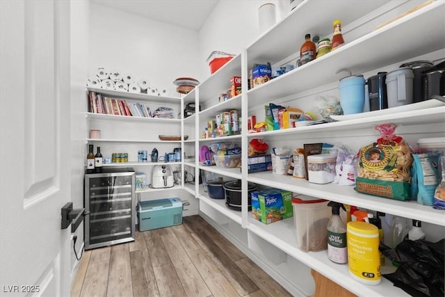 pantry with beverage cooler