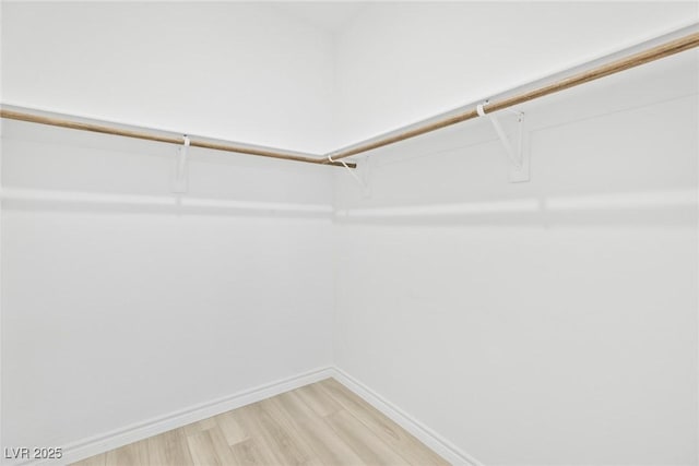 walk in closet with hardwood / wood-style floors