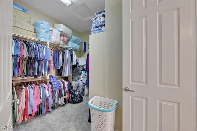 spacious closet with light carpet