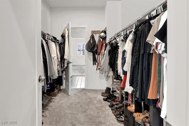 walk in closet featuring carpet