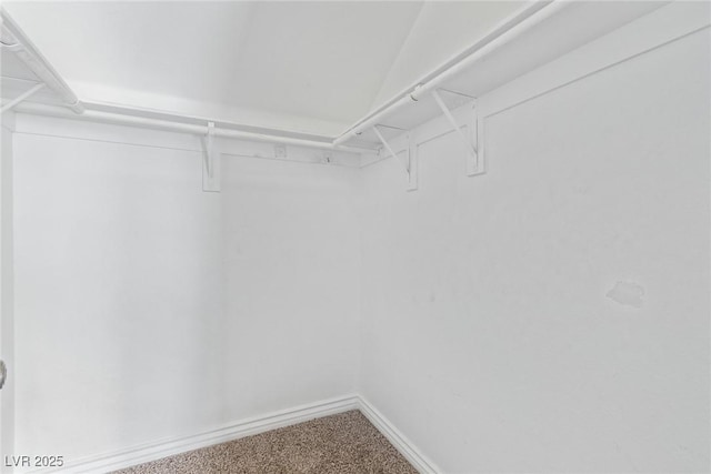 spacious closet with carpet flooring