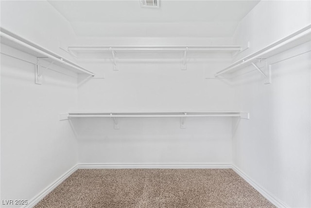 spacious closet with carpet flooring