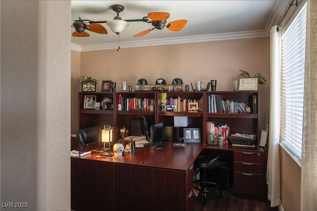 office space featuring ceiling fan and ornamental molding