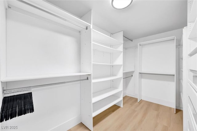 walk in closet with light wood-type flooring