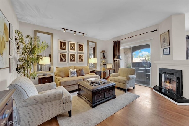 living room with light hardwood / wood-style floors and rail lighting