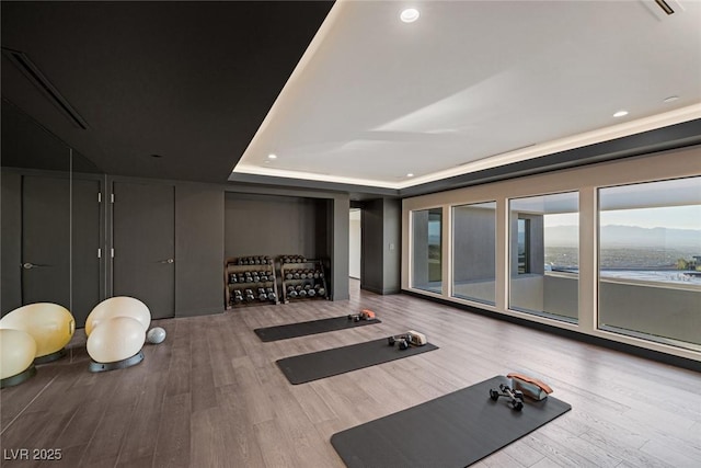 exercise room featuring a tray ceiling and light hardwood / wood-style floors