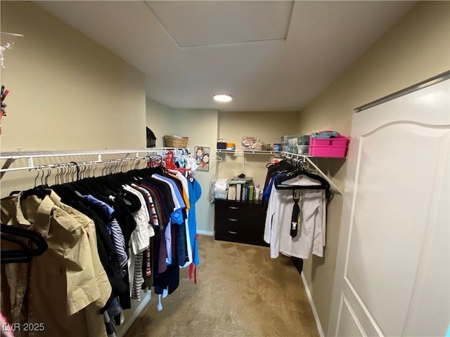 spacious closet featuring carpet flooring