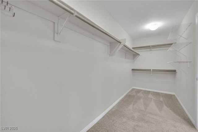 walk in closet with light carpet