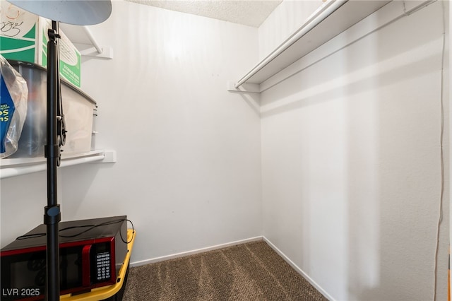 spacious closet with carpet