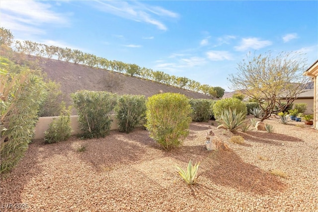 view of yard featuring a mountain view