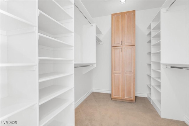 spacious closet featuring light colored carpet