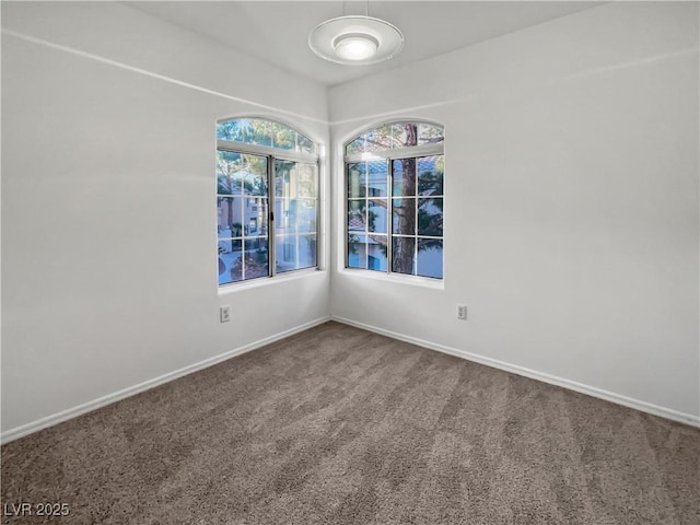 unfurnished room with carpet flooring