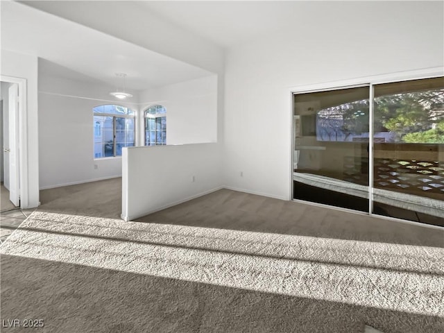 unfurnished room with carpet flooring