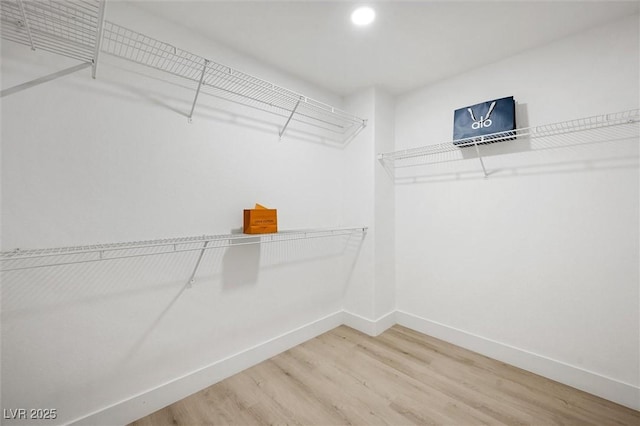 spacious closet featuring hardwood / wood-style floors