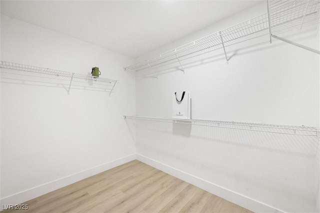 walk in closet featuring hardwood / wood-style floors