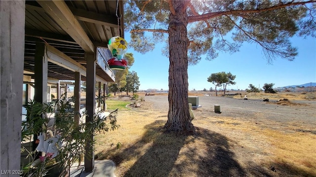 view of yard featuring a rural view