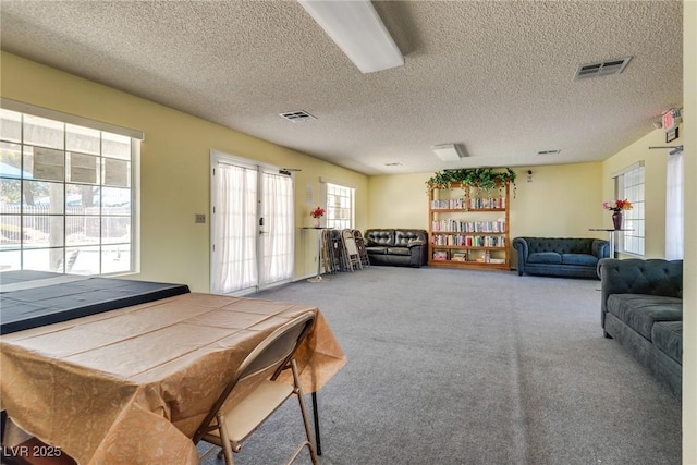 living room featuring carpet and a textured ceiling