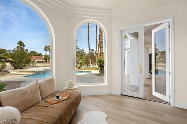 doorway with a wealth of natural light and light hardwood / wood-style floors