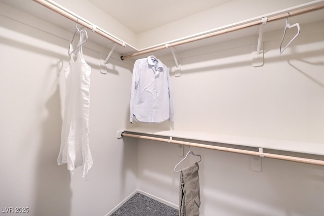 walk in closet with carpet floors