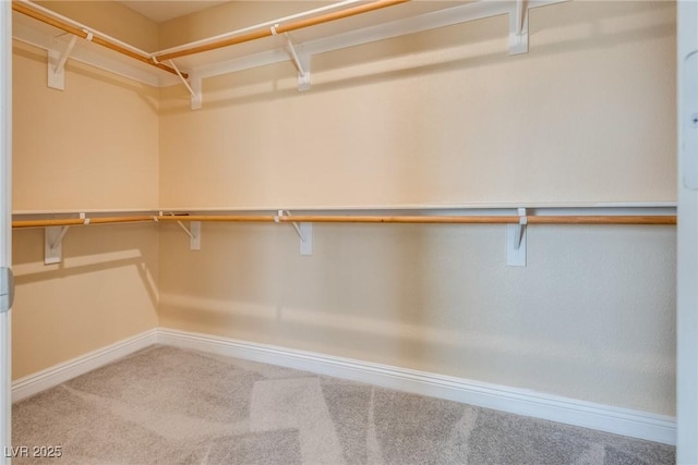 walk in closet with carpet