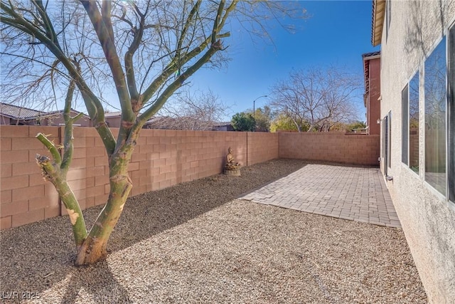 view of yard featuring a patio