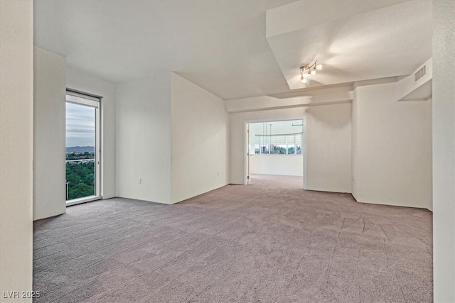 spare room with a healthy amount of sunlight and light carpet