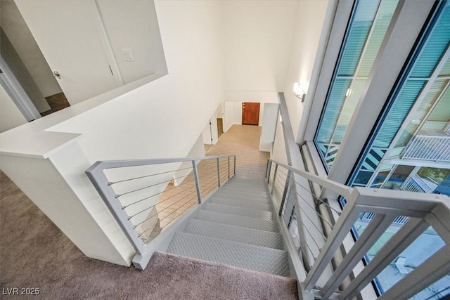 stairway featuring carpet