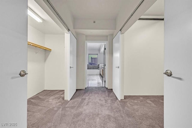 spacious closet featuring light carpet