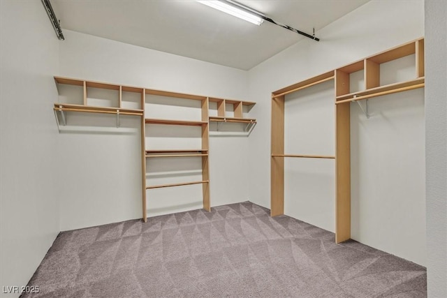 walk in closet with light carpet