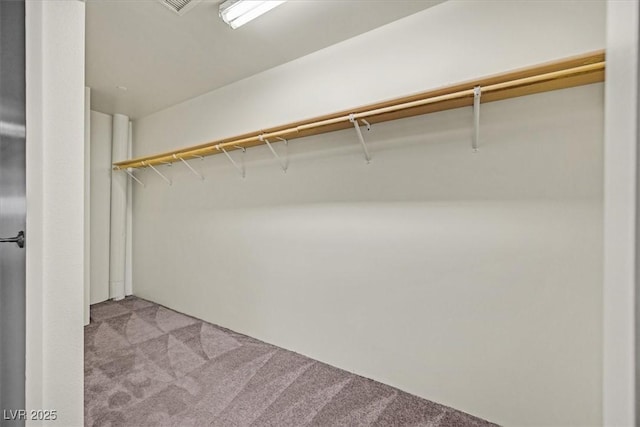 spacious closet featuring light carpet