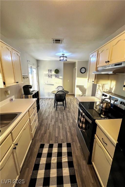 kitchen featuring dark wood-type flooring, stainless steel electric range oven, and sink