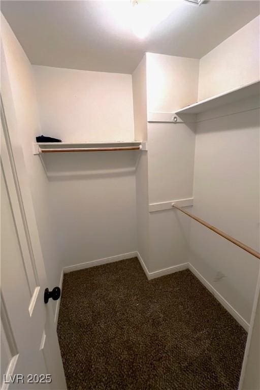 walk in closet featuring carpet flooring