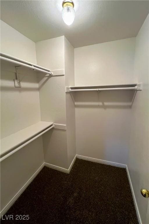 spacious closet featuring carpet floors