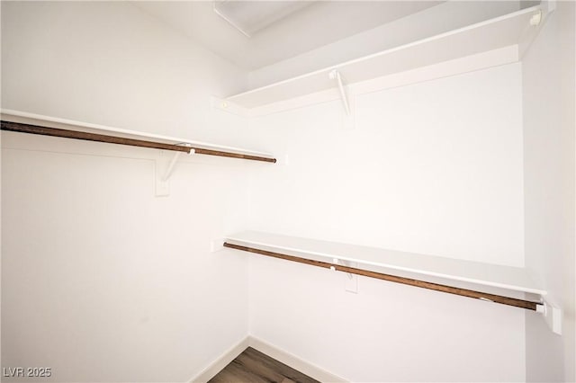 spacious closet featuring wood-type flooring