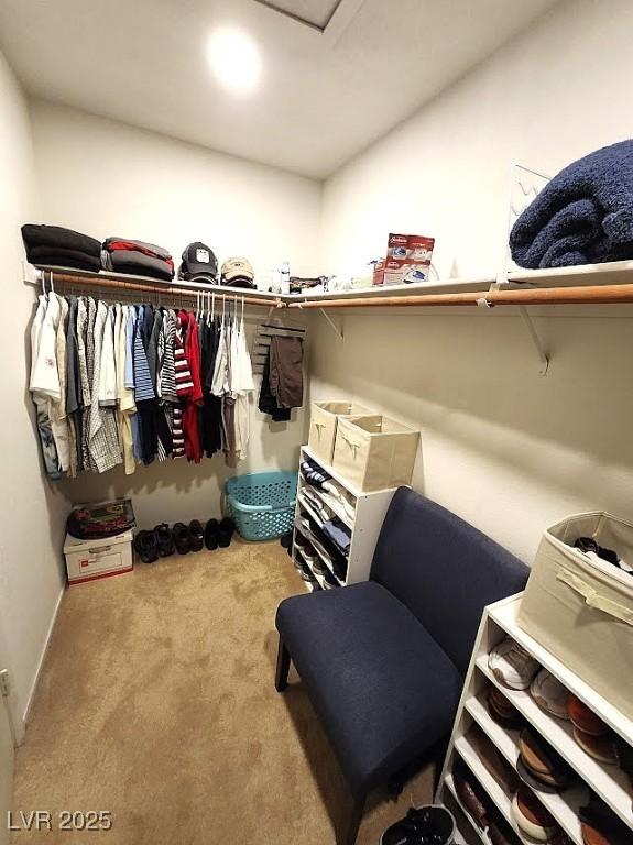 spacious closet featuring carpet flooring