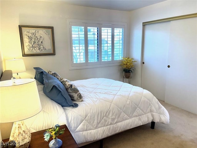 bedroom with carpet and a closet