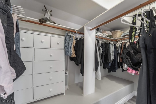 view of spacious closet