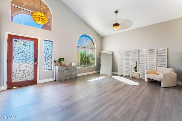 foyer entrance featuring wood-type flooring and high vaulted ceiling