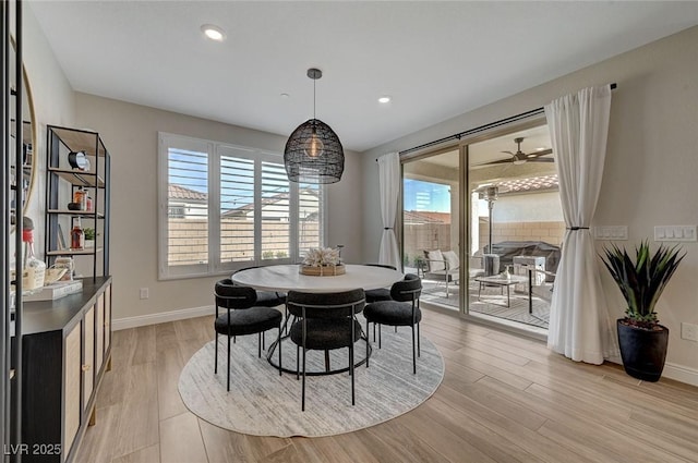 dining room with light hardwood / wood-style floors