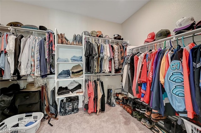 spacious closet featuring carpet