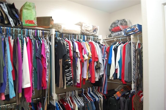 view of spacious closet