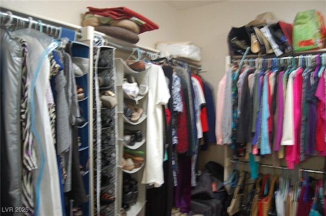 view of spacious closet